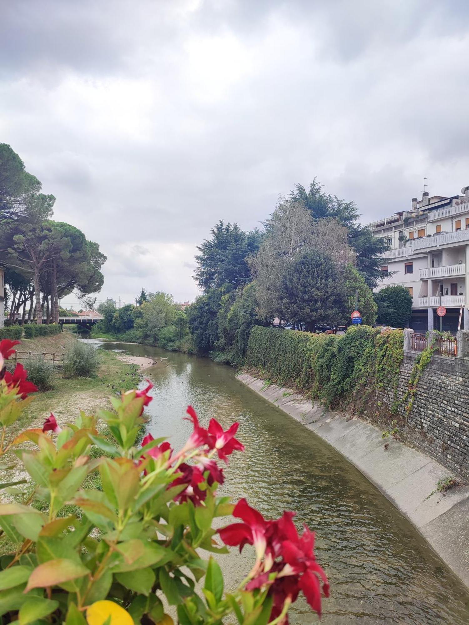 Al Ponte Design Apartment Conegliano Eksteriør bilde
